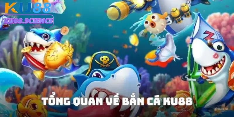 Mang đến cơ hội đổi đời chưa từng có cho hội viên