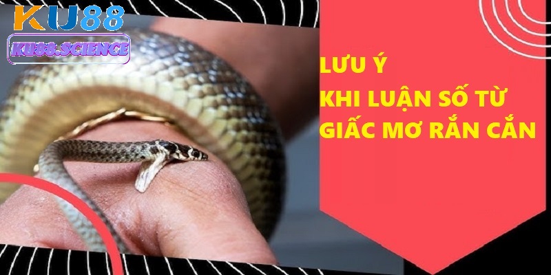 Bạn cần kết hợp giữa ghi nhớ giấc mơ với bảng soi cầu của Ku88 để chọn số